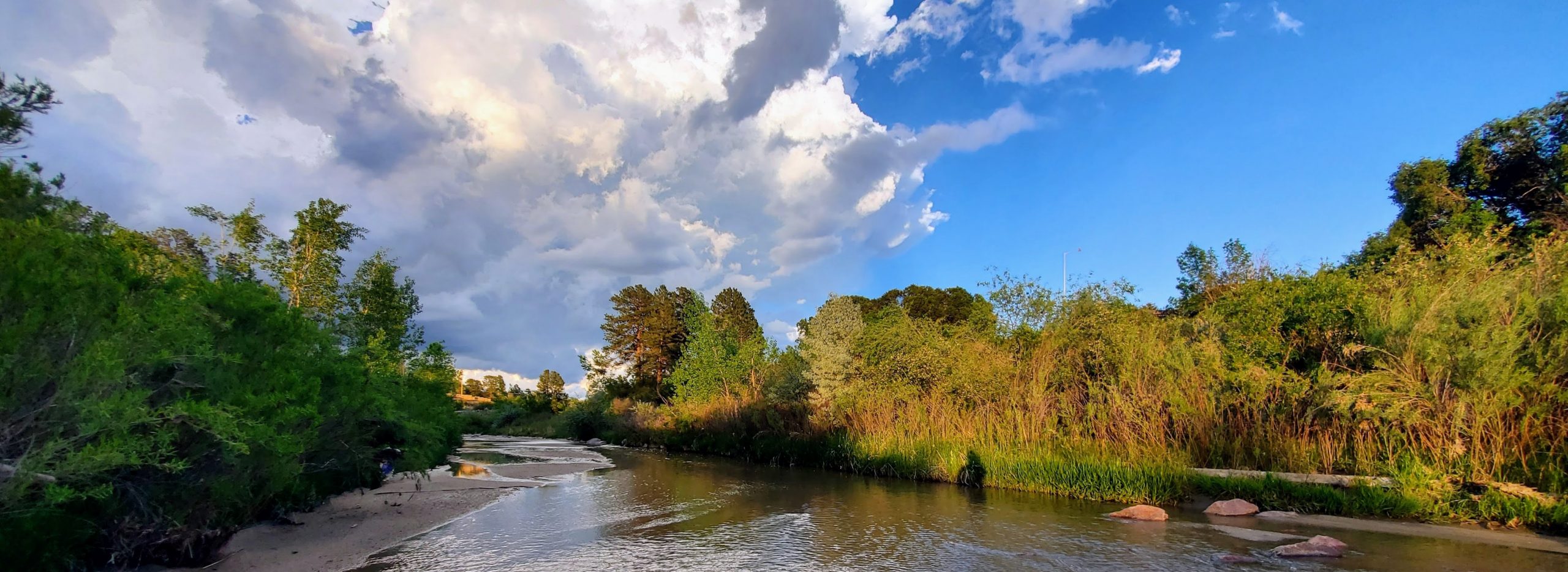 Decorative image of a creek and surrounding trees.